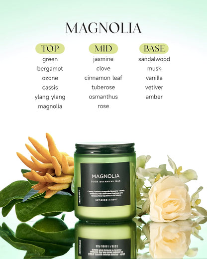 M&SENSE Magnolia Jasmine Scented Candle, 7.05oz 50 Hours Long Lasting Clean Non Toxic All Natural