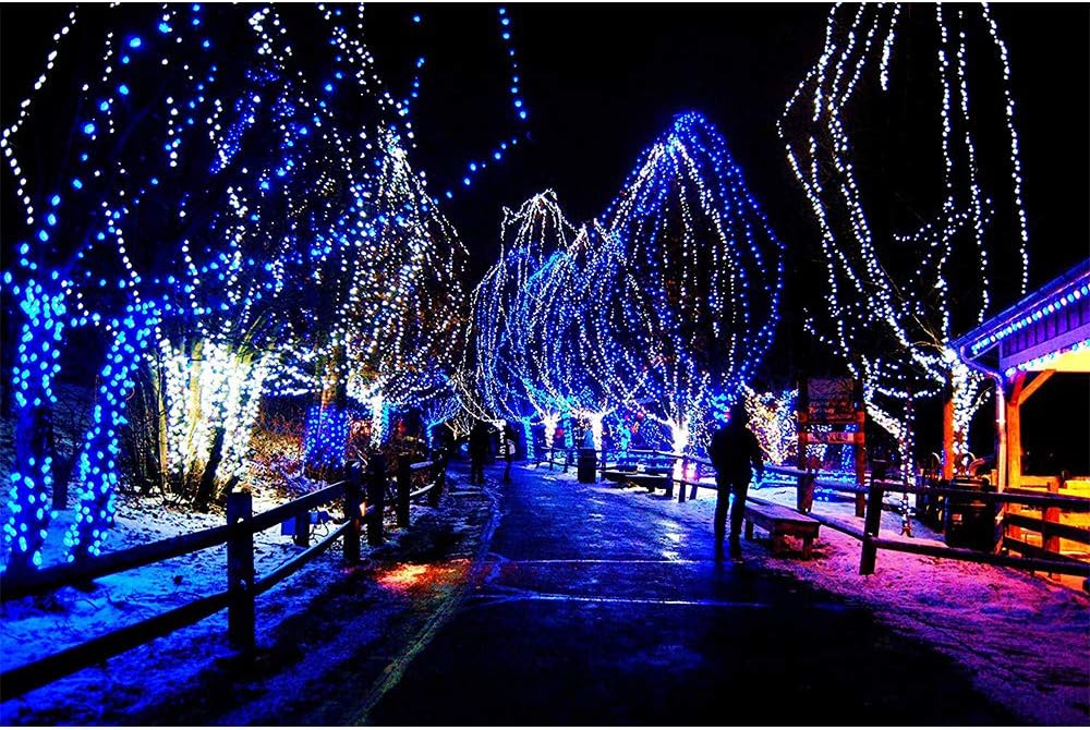 33FT 100 LEDs String Lights Waterproof Fairy Lights 8 Modes with Memory 30V UL Certified Power
