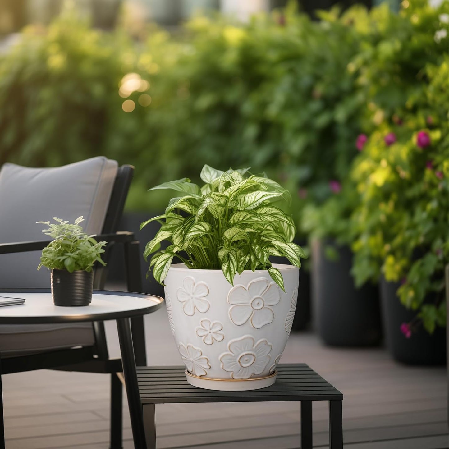 Ceramic Planter 8 Inch Plant Pot with Drainage Hole and Saucer Ceramic Pots for Indoor Plants