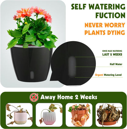 Self Watering Pots for Indoor Plants, 12-Pack 5'' Self Watering Planter with Drainage Holes, Small