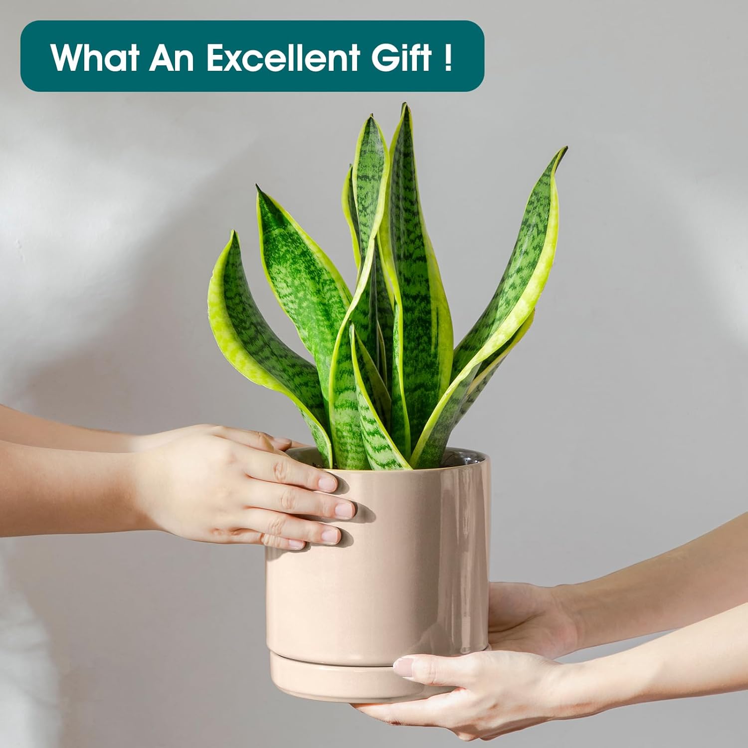 vancasso Ceramic Planters, Plant Pots for Indoor Plants, 6.25+8.25+10.25 Inch Ceramic Pots for