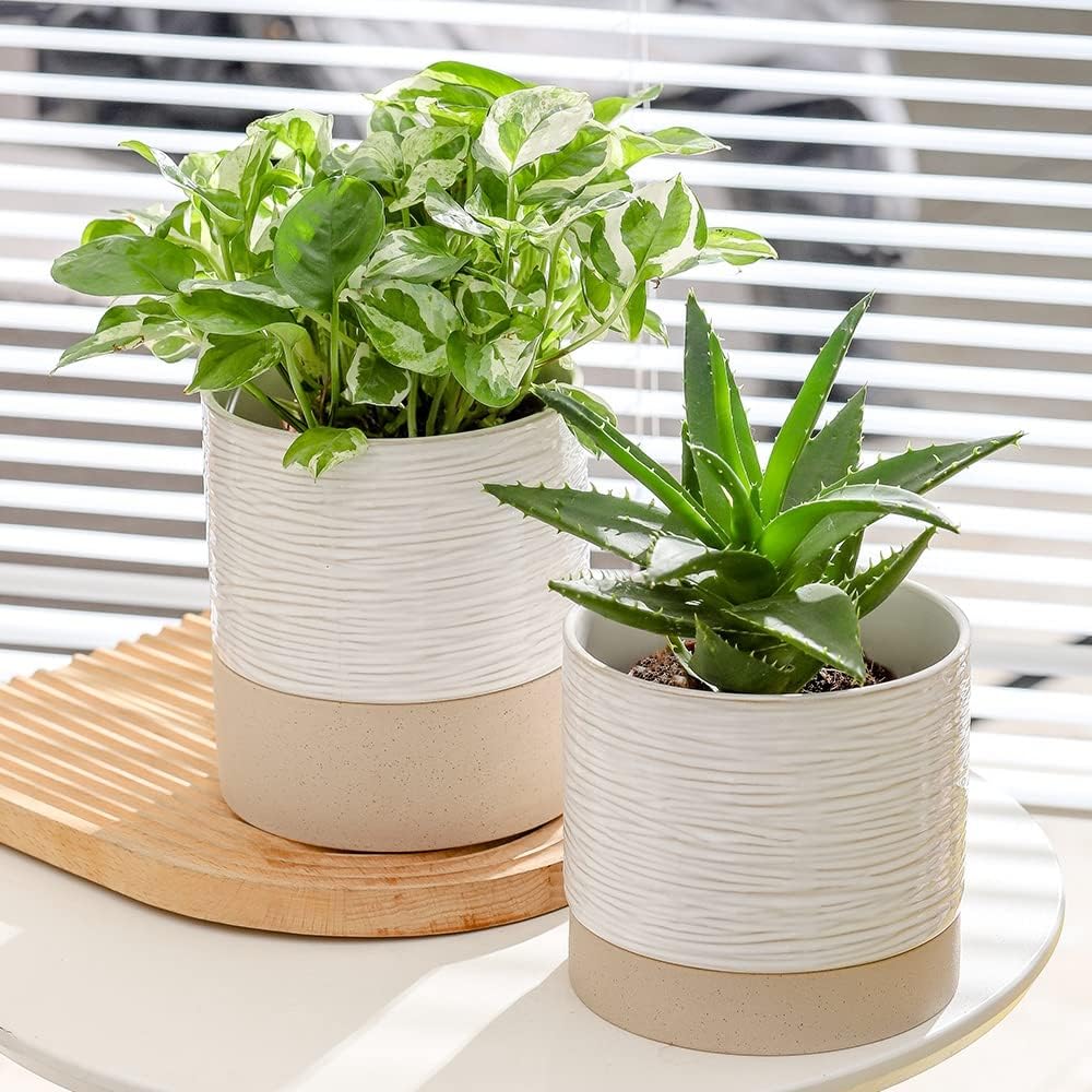 Nihow Ceramic Plant Pot: 6 Inch Planter with Drainage Hole & Saucer for Indoor & Outdoor Plants