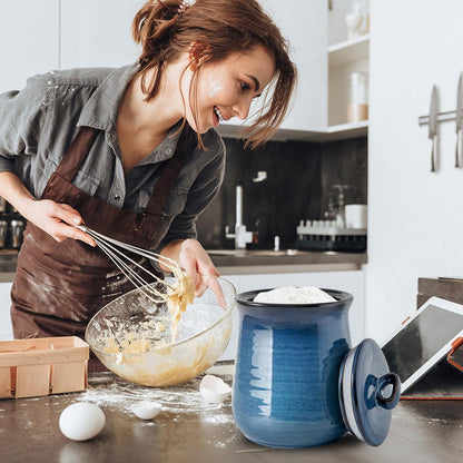 Hasense Ceramic Canister with Airtight Lid for Kitchen Counter, 88 Ounce Large Ceramic Food Storage