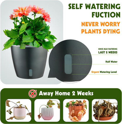 Self Watering Pots for Indoor Plants, 6-Pack 5'' Self Watering Planter with Drainage Holes, Small