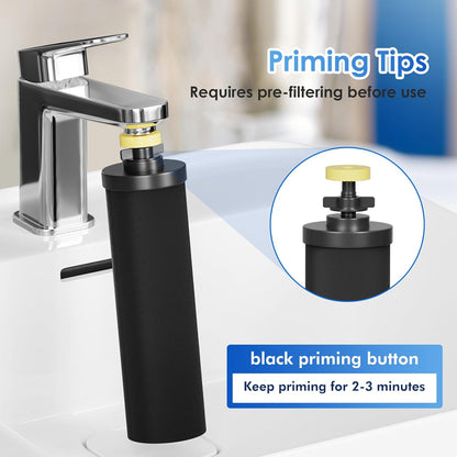 Purewell PF-2 Black 2-Stage Purification Elements, Replacement Filters for ProOne® and Berkey®