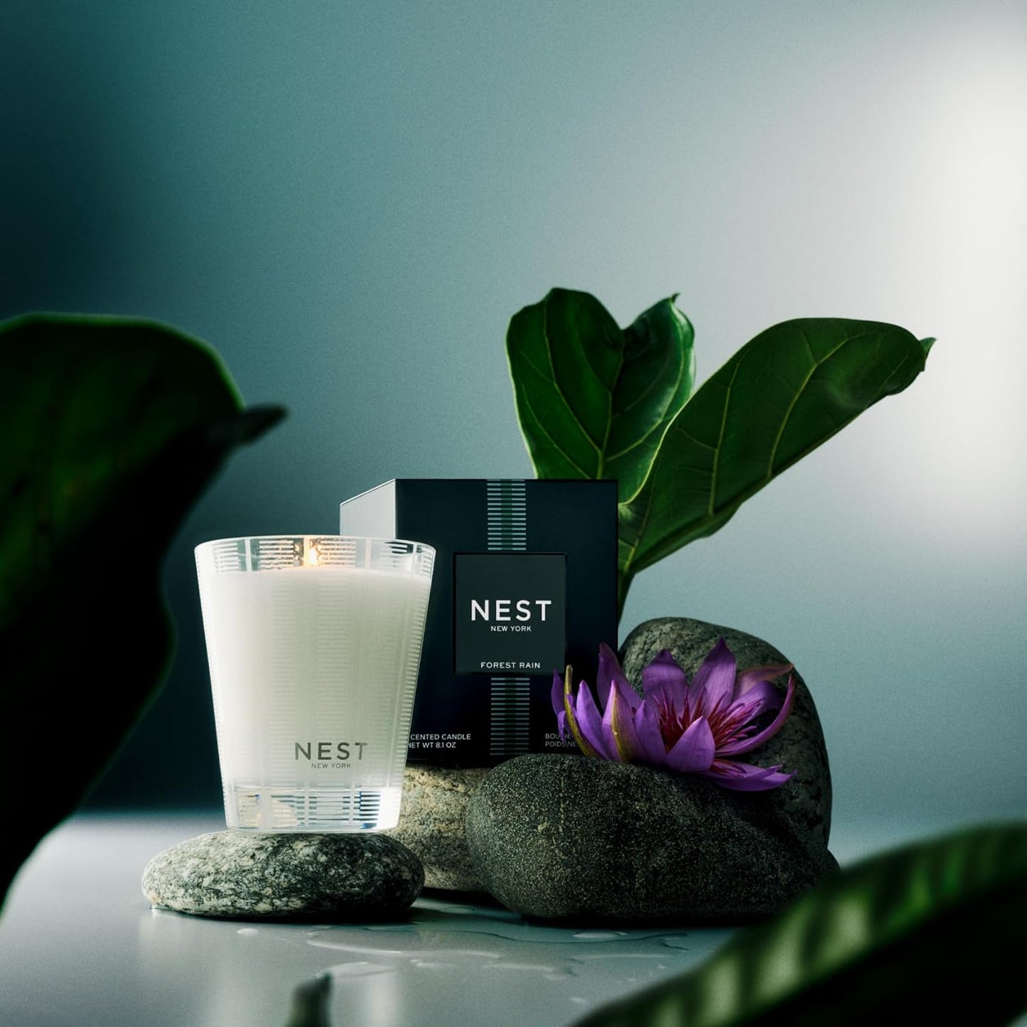 NEST New York Scented Classic Candle, Forest Rain - 8.1 oz - Up to 60-Hour Burn Time - Reusable