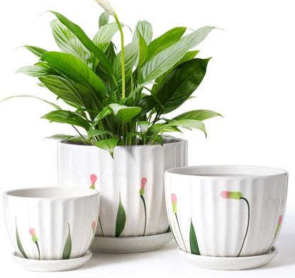 4/5/6 Inches Ceramic Plant Pots with Drainage Holes and Saucers, Round Flower Pots for Indoor