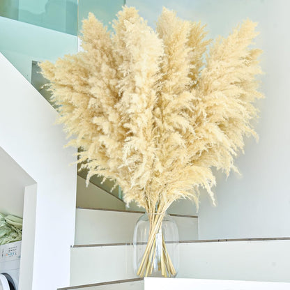 46" inch 11 Stems Natural Pampas Grass Tall Decor,Pompas Grass,Large Beige Tall Pampas Grass for