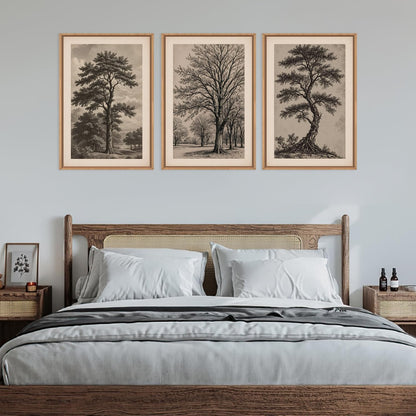 HPINUB Vintage Sketch Tree Framed Canvas Wall Art Set,Modern Nature Botanical Wall Decor, Antique