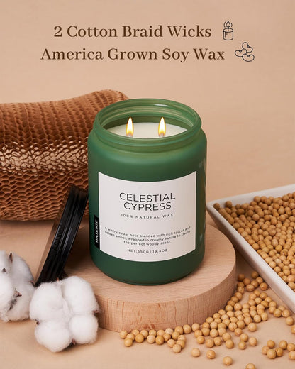 M&SENSE Celestial Cypress - Cedar & Spice Soy Jar Candles, Cedarwood Cardamom Large Winter Scented