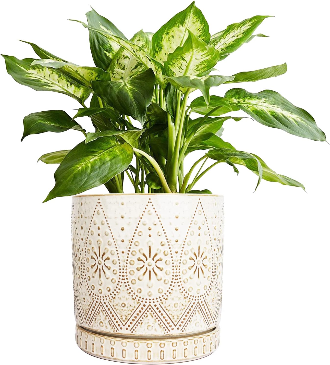 8 Inch Indoor Plant Pot with Drainage Holes and Saucers, Ceramic Planter for Plants, Succulent