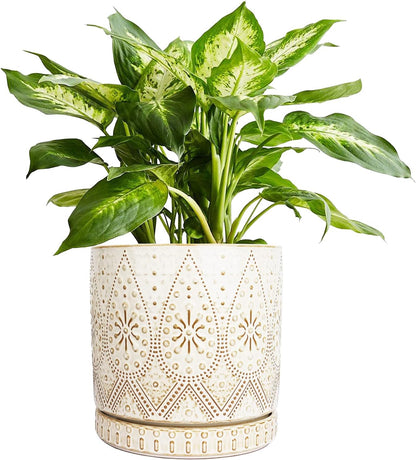 8 Inch Indoor Plant Pot with Drainage Holes and Saucers, Ceramic Planter for Plants, Succulent