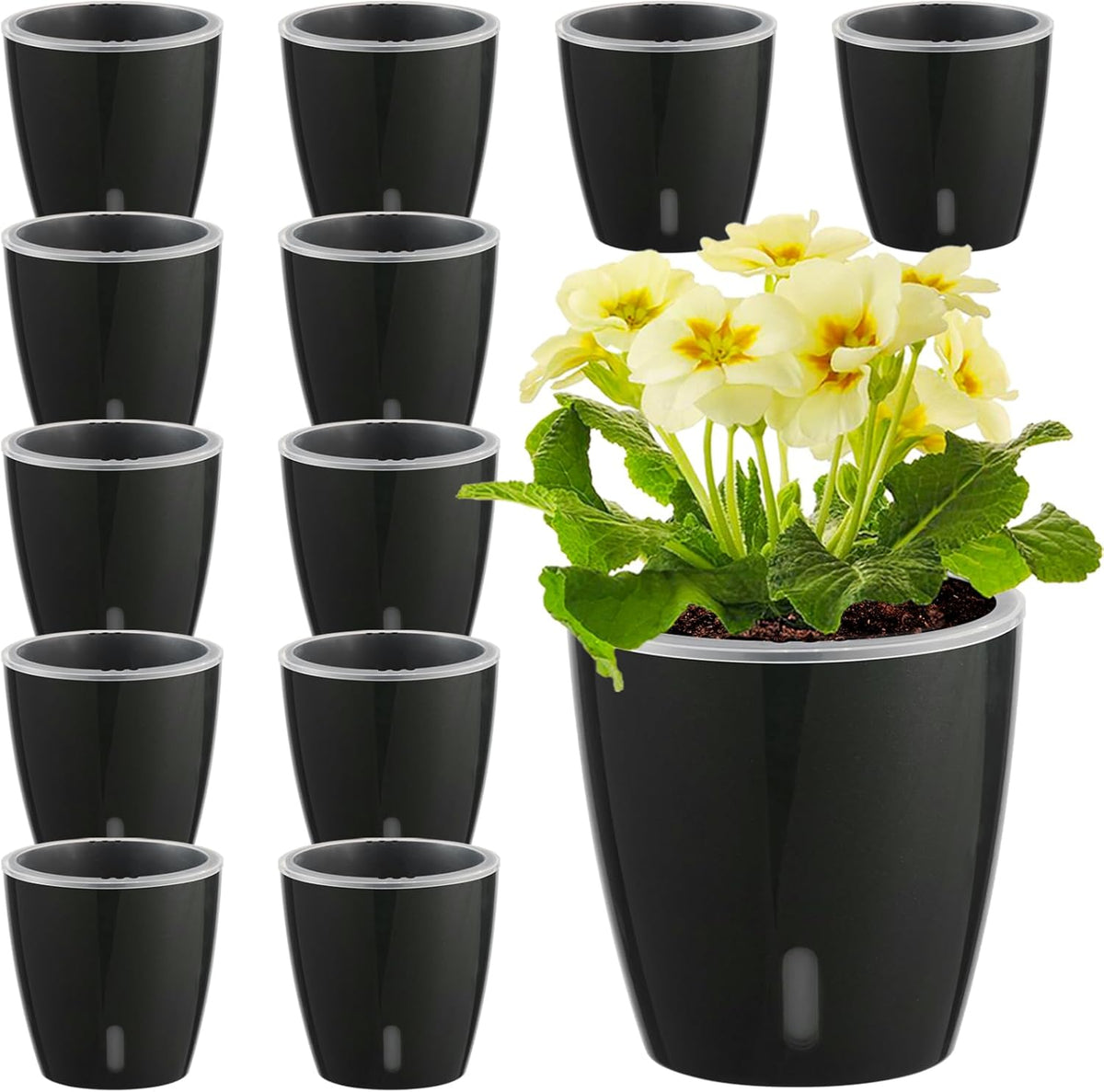 Self Watering Pots for Indoor Plants, 12-Pack 5'' Self Watering Planter with Drainage Holes, Small