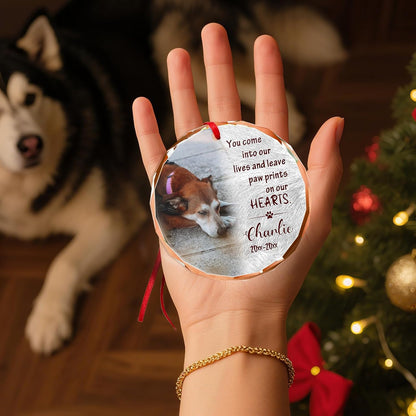 Personalized Memorial Pet Glass Ornament - Custom Picture Christmas Ornaments, Dog Forever in Our