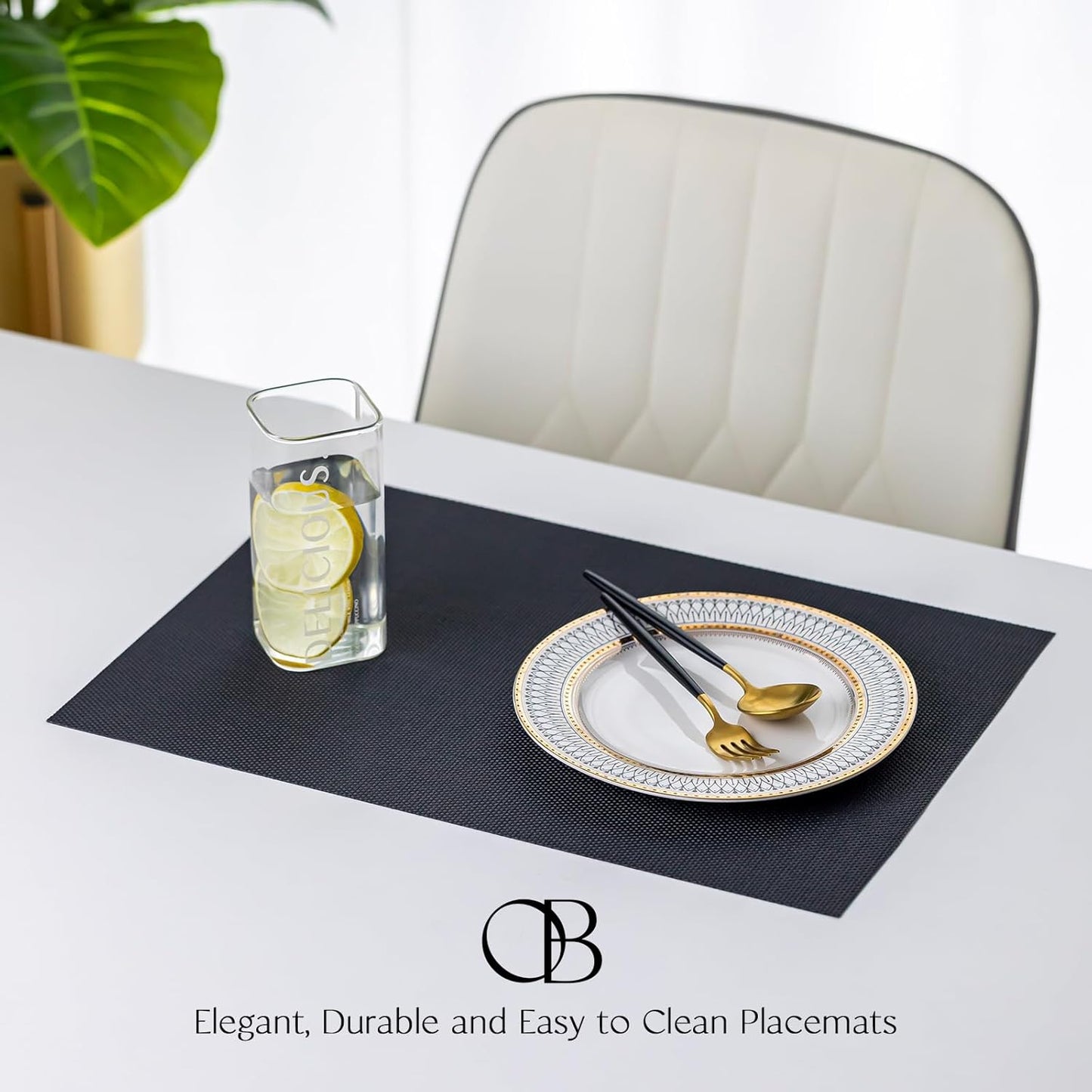 Placemats Set of 12 - Easy Clean Woven Vinyl Placemats for Dining Table, Indoor/Outdoor Place Mats