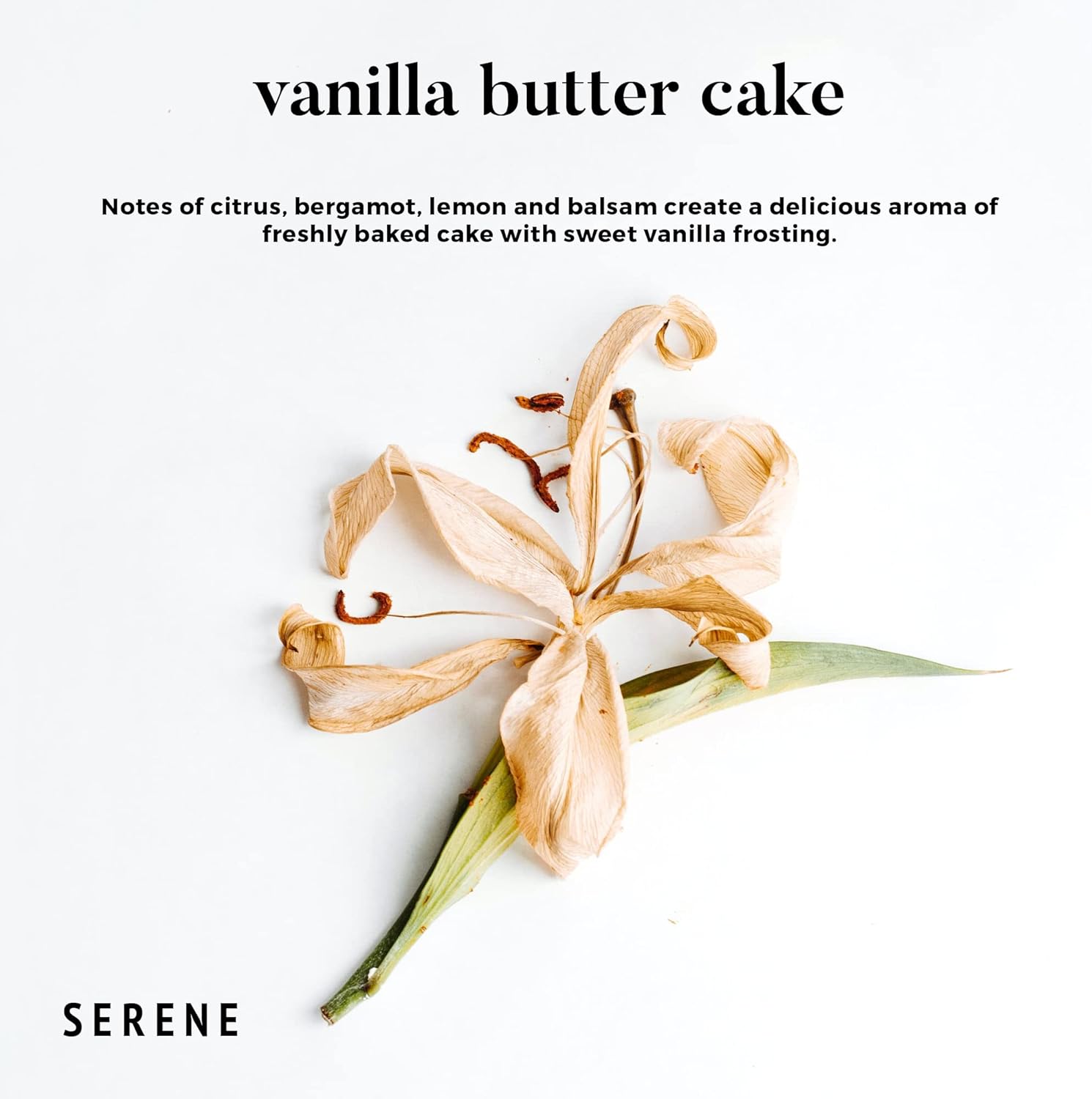Hidden Label Large Scented Candle, Vanilla Butter Cake, 30oz 3 Wick Huge Candle, Serene Collection