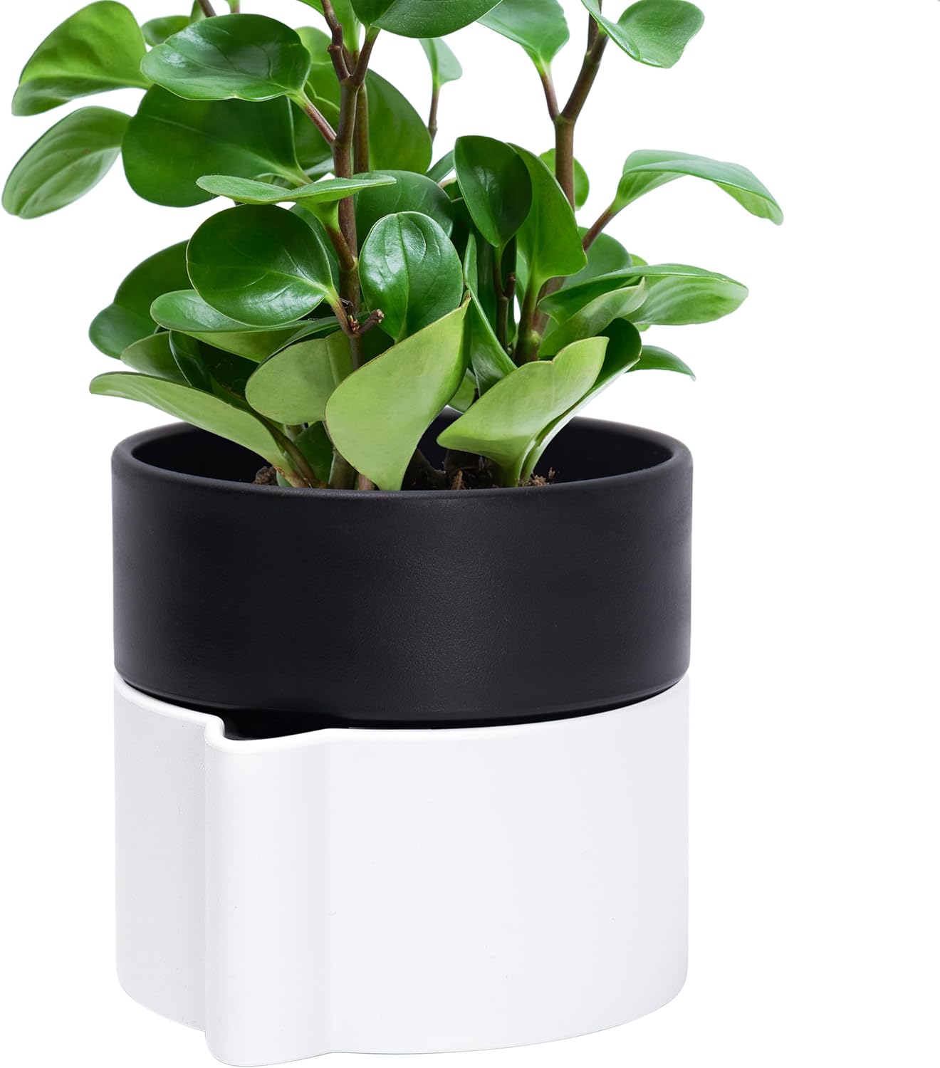 Phoenix Vine 6.5 Inch Self-Watering Planter Pot with Terracotta Insert, Deep Water Reservoir, and