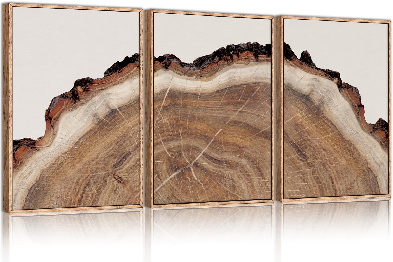 HPINUB Framed Tree Rings Wood Wall Art Set, Modern Beige Wood Stump Wall Decor, Abstract Black and