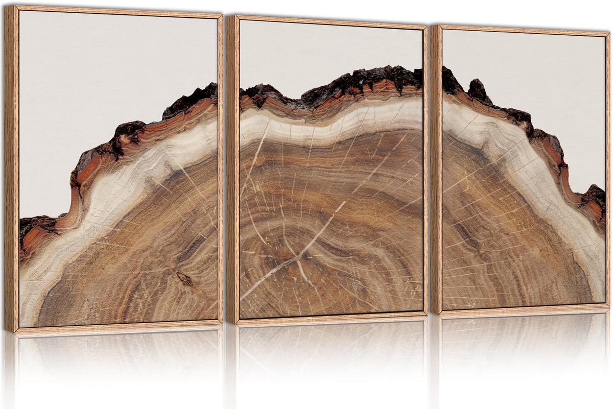 HPINUB Tree Rings Wood Wall Art Framed Set, Modern Beige Wood Stump Wall Decor, Abstract Tree