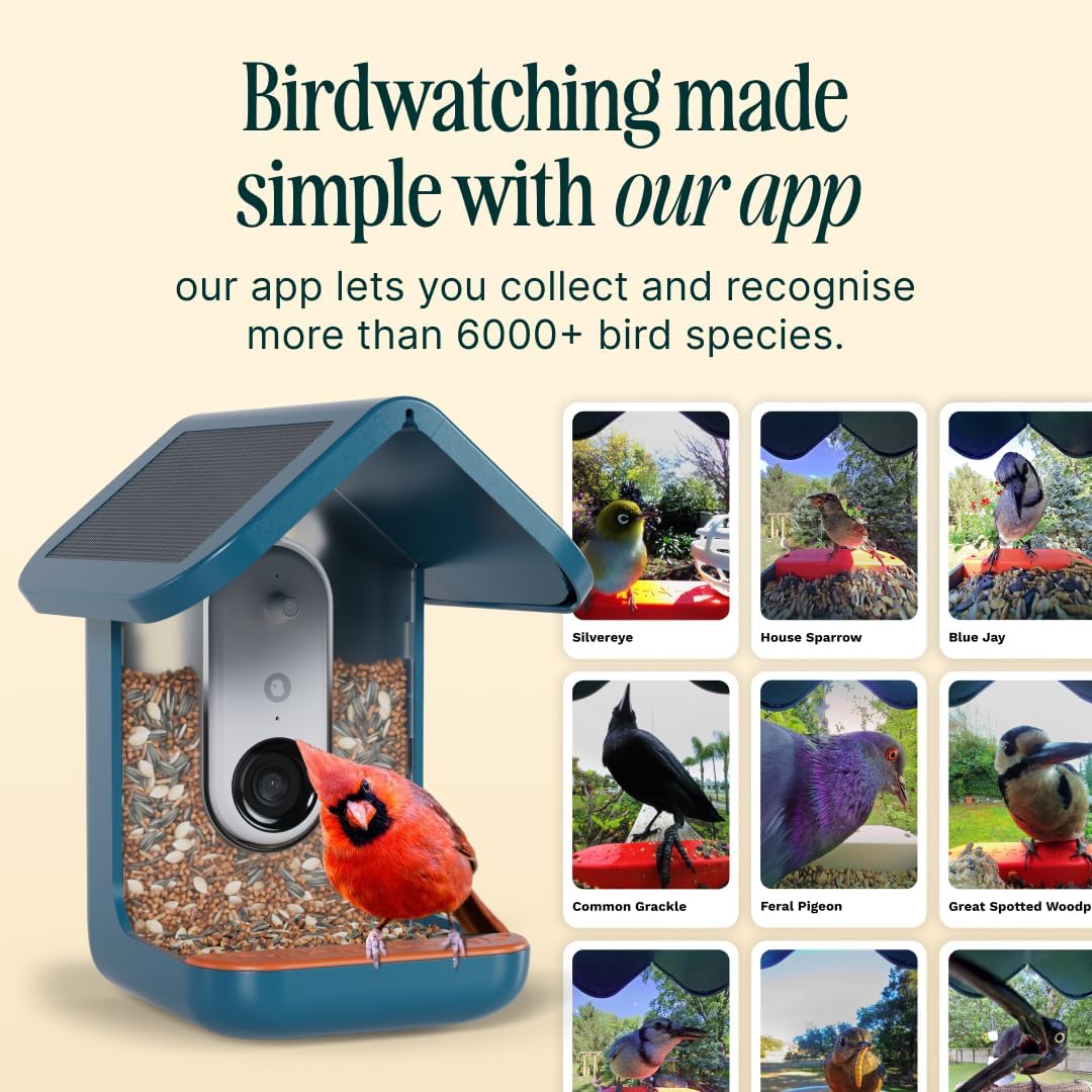 Birdbuddy PRO Solar Smart Bird Feeder with Camera - AI Bird Species Identification, 5MP Photos, 2K