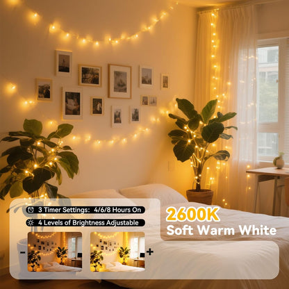 LitHome 300LED 99FT Led Fairy Lights Plug in, Color Changing Fairy Lights with Remote, 9 Modes Led
