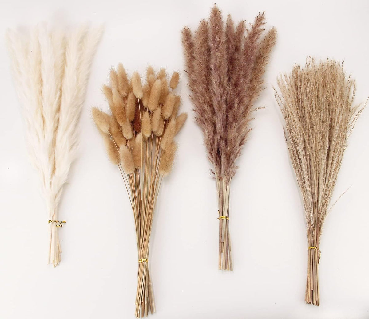 Dried Pampas Grass Decor, 100 Stems Pampas Grass Contains Bunny Tails Dried Flowers, Reed Grass