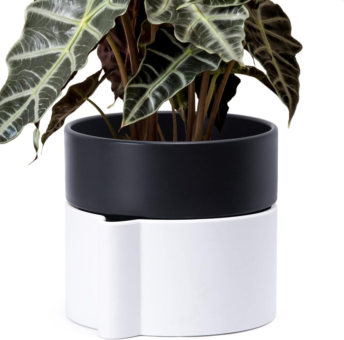 8 Inch Self-Watering Planter Pot with Terracotta Insert, Deep Water Reservoir, and Ceramic-Alike