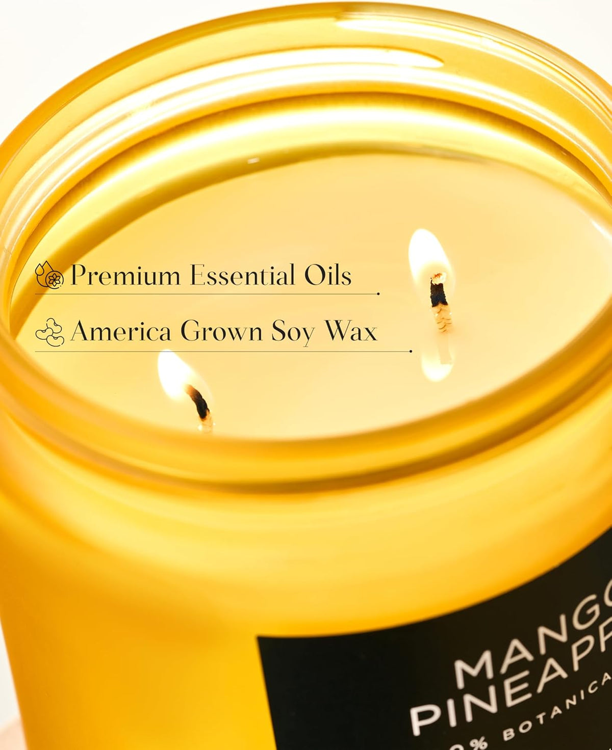 M&SENSE Mango Pineapple Tropical Scented Candle - 11.6oz Natural Soy Wax Non Toxic 70-Hour Burn