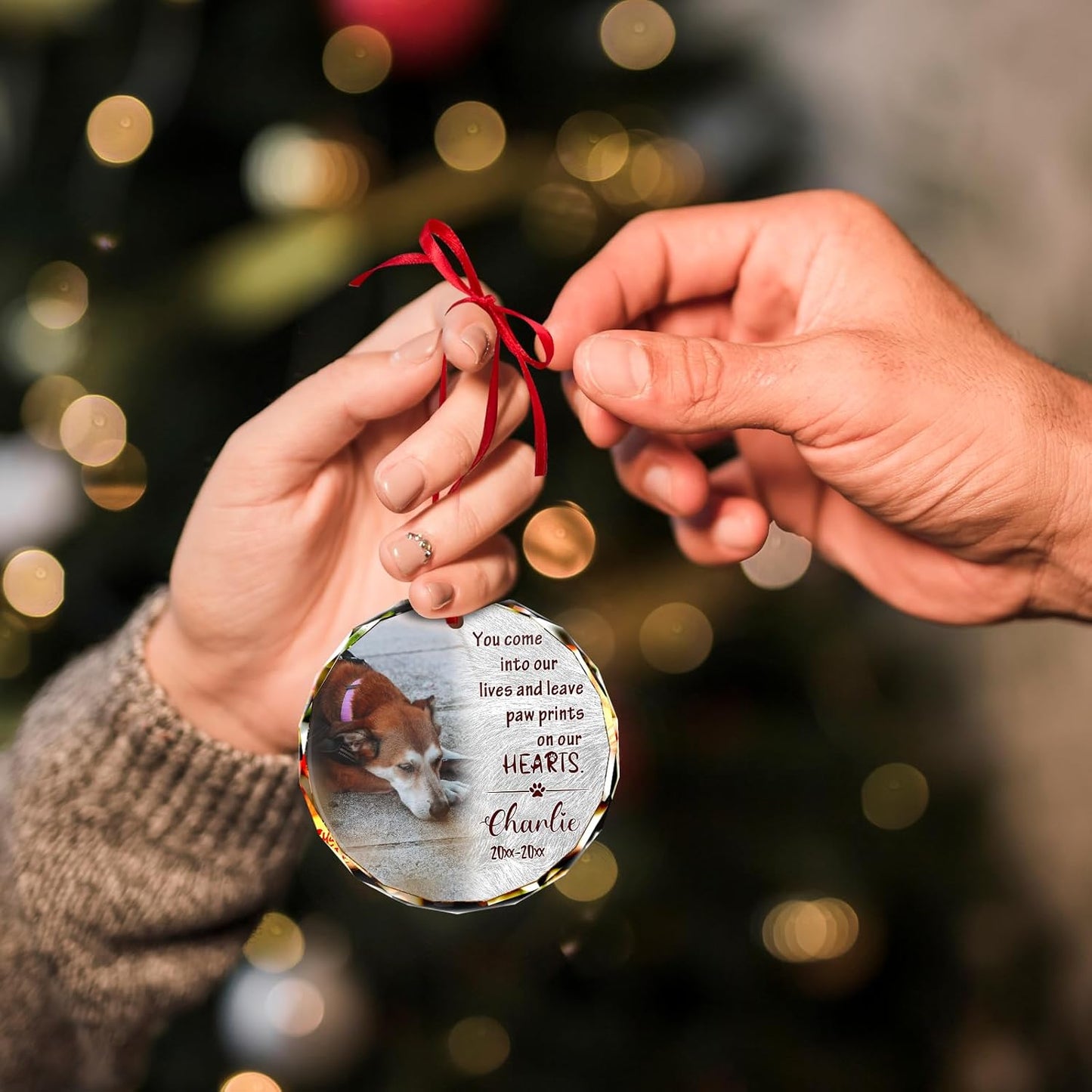 Personalized Memorial Pet Glass Ornament - Custom Picture Christmas Ornaments, Dog Forever in Our