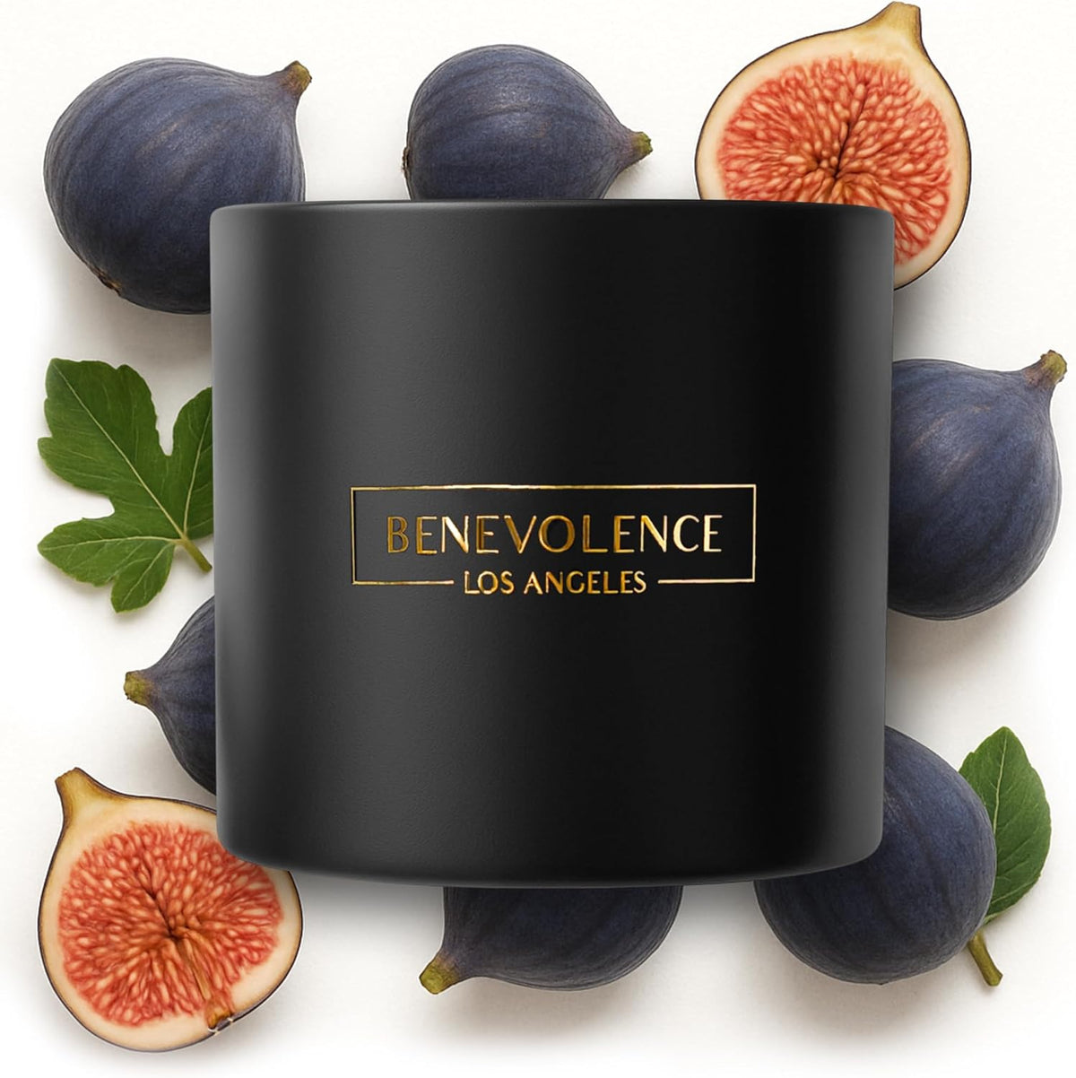 Benevolence LA 3 Wick Candle, Fig Tree Large Scented Candle | Soy Candles | Gifts for Women and Men