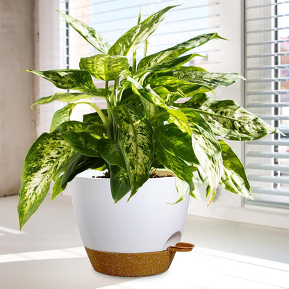 10/9/8 inch Medium Self Watering Pots, Planter, Plant Pots with Mesh Drainage Holes for Indoor