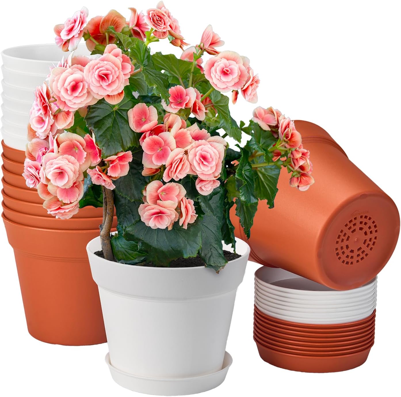 homenote Plant Pots,6 Inch Flower Pots for Plants Plastic Planters for Indoor with Multiple