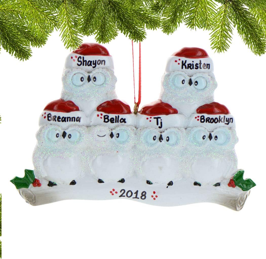 3D Owl Family of 6 Ornament 2025 Personalized Family Christmas Ornaments 2025 | White Holiday