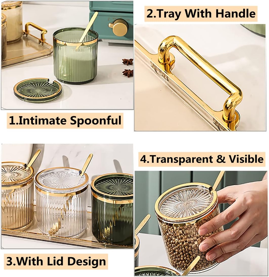 Acrylic Condiment Spice Jars,Condiment Spice Box With Lids and Spoons and Tray,Clear Plastic