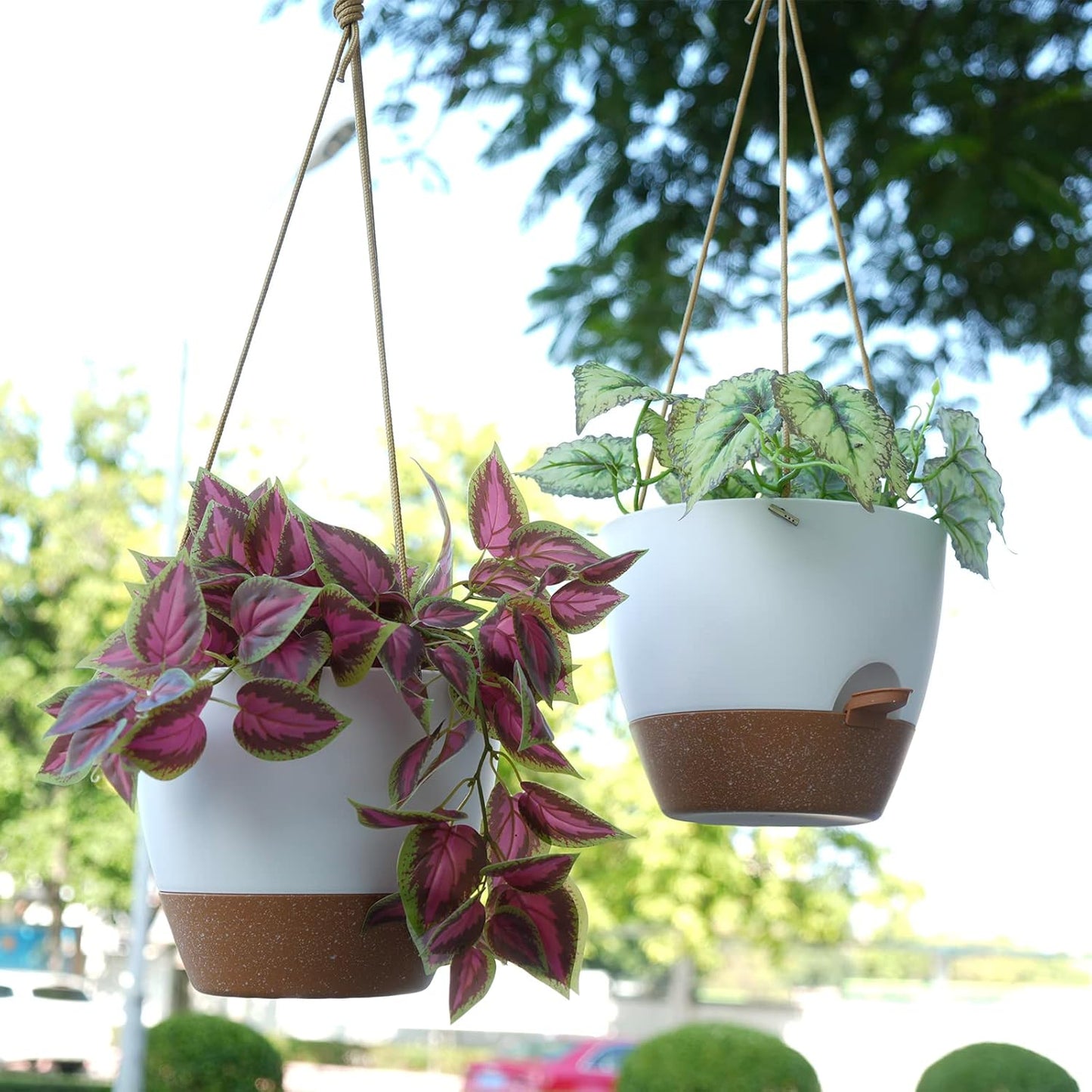 8 inch Hanging Planters, 2 Pack Self Watering Hanging Pots with 20oZ Deep Reservoir for Indoor