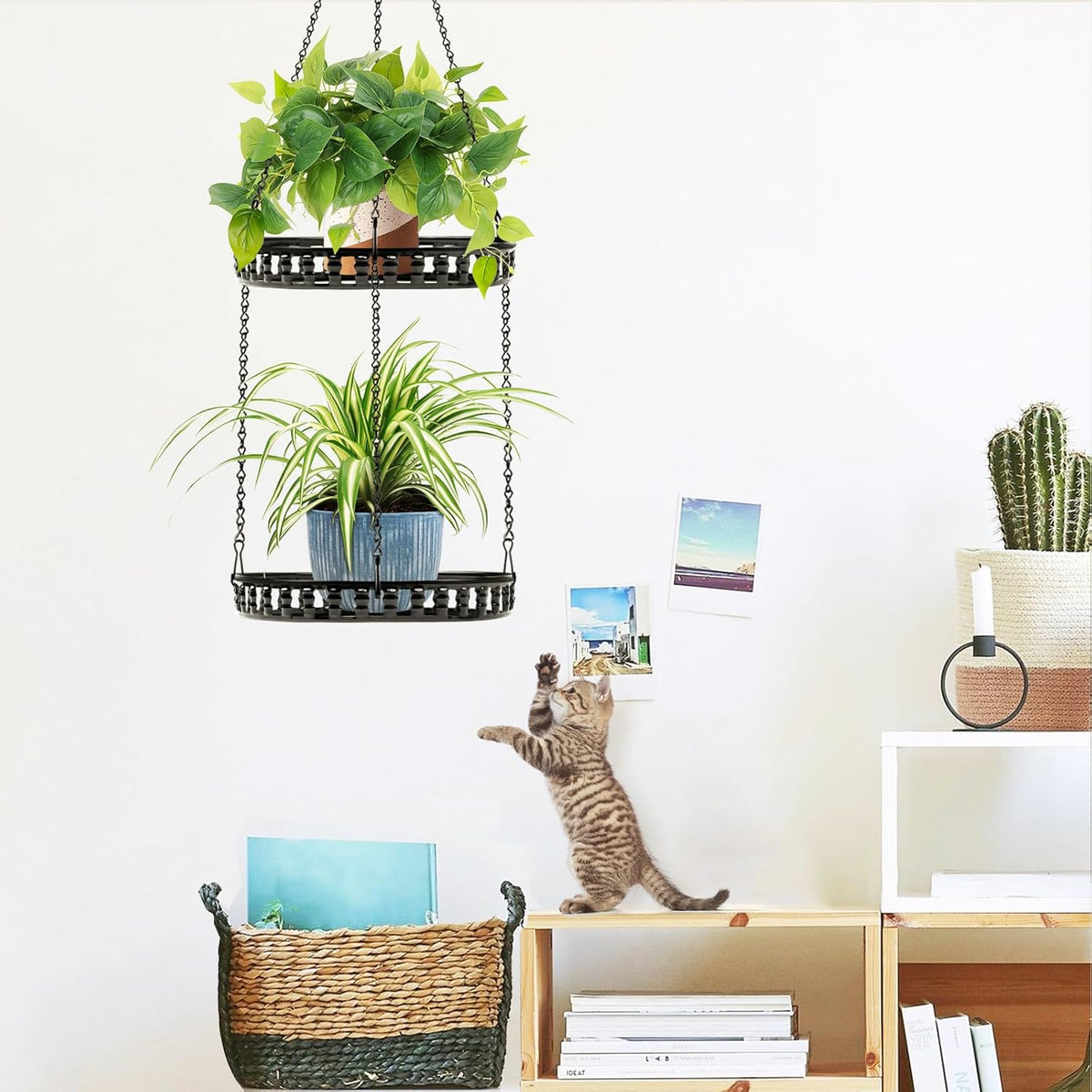 Plant Hanger Indoor Outdoor, 2 Tier Hanging Planter Plant Shelf, Metal Hanging Plants Holder for