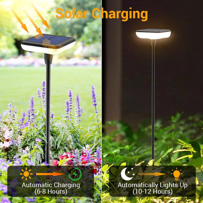 Solar Lights Outdoor Pathway 8 Pack IP65 Waterproof 31" Solar Garden Lights 2 Heights Adjustable