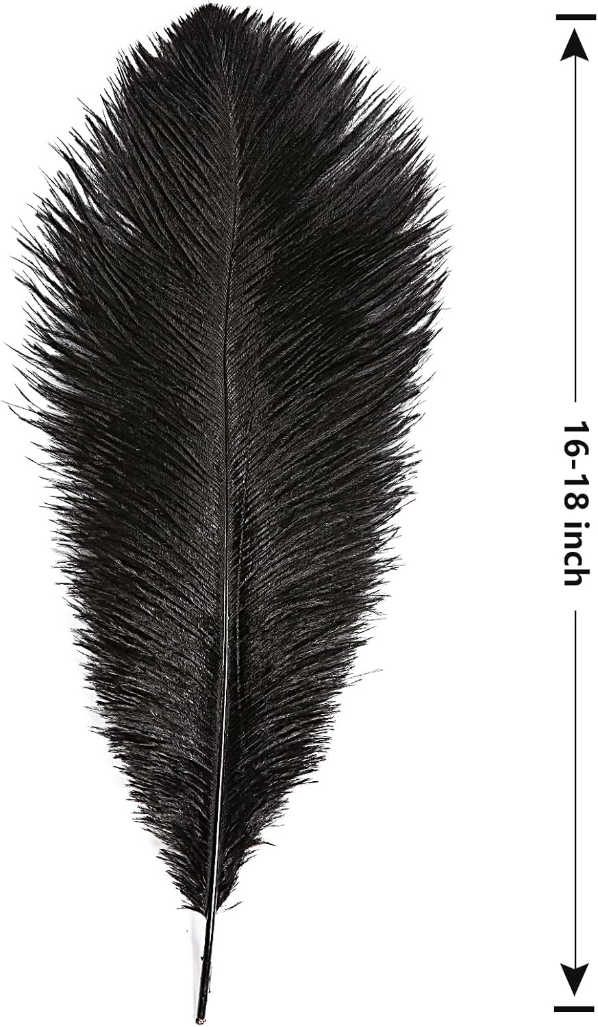 THARAHT Black Ostrich Feathers 12pcs Large Natural Bulk 16-18Inch 40cm-45cm for Wedding Party