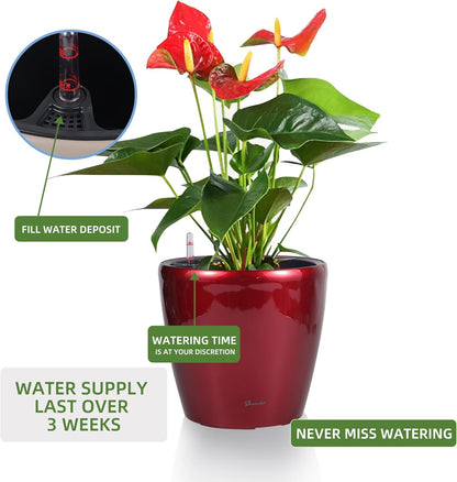 Dexceder 11x10 Inches High Gloss Self Watering Planter Indoor Outdoor, Inner Pot Design, Thickened