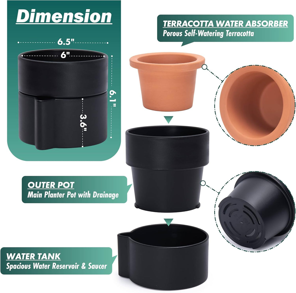 Phoenix Vine 6.5 Inch Self-Watering Planter Pot with Terracotta Insert, Deep Water Reservoir, and