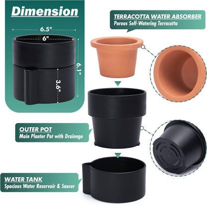 Phoenix Vine 6.5 Inch Self-Watering Planter Pot with Terracotta Insert, Deep Water Reservoir, and