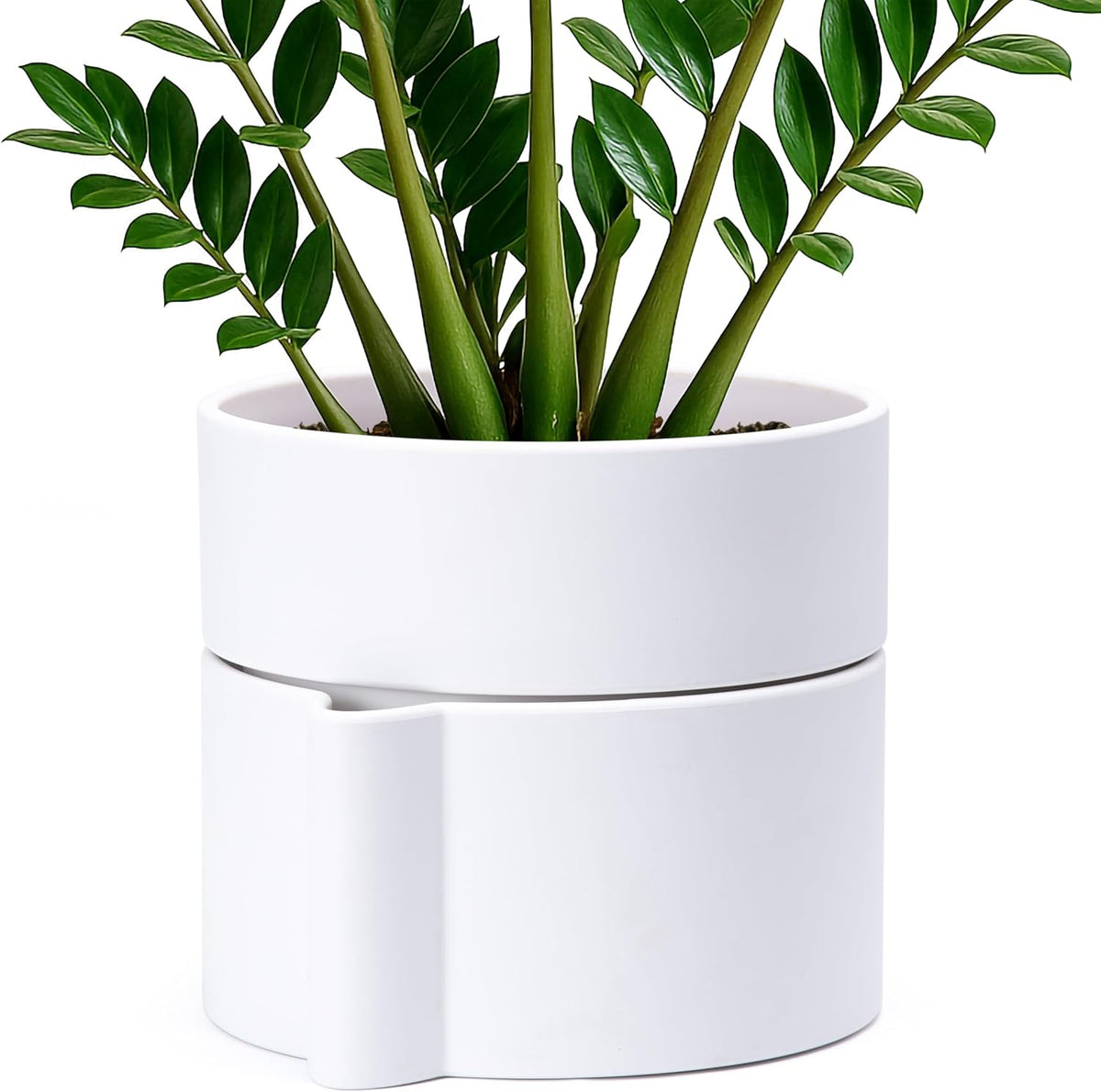 Phoenix Vine 8 Inch Self-Watering Planter Pot with Terracotta Insert, Deep Water Reservoir, and