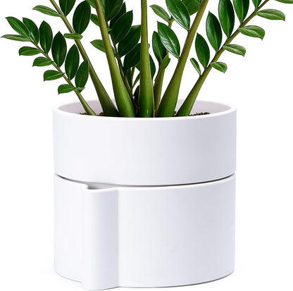 Phoenix Vine 8 Inch Self-Watering Planter Pot with Terracotta Insert, Deep Water Reservoir, and