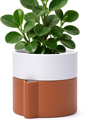 6.5 Inch Self-Watering Planter Pot with Terracotta Insert, Deep Water Reservoir, and Ceramic-Alike