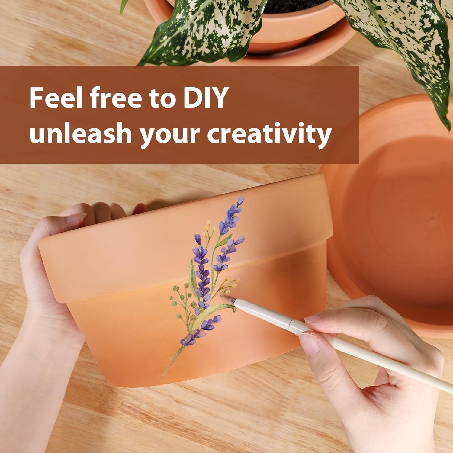 INGOFIN 8 Inch Terracotta Shallow Pots Set with Saucer - Ceramic Clay Pots with Drainage Hole