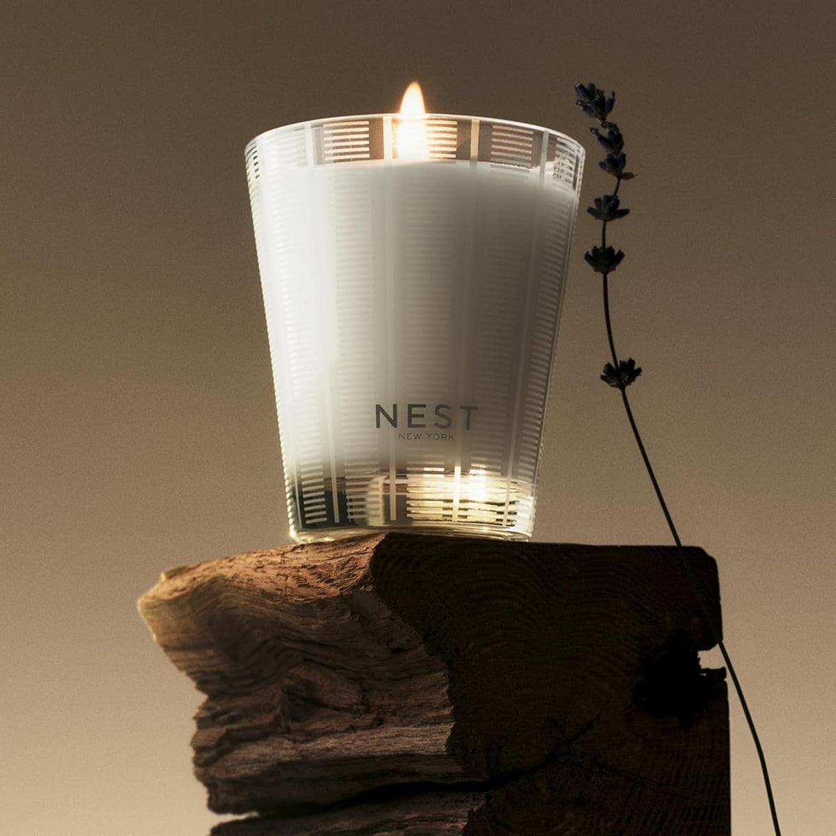 NEST New York Scented Classic Candle, Cedar Leaf & Lavender - 8.1 oz - Up to 60-Hour Burn Time