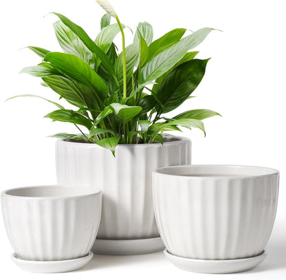 4/5/6 Inches Ceramic Plant Pots with Drainage Holes and Saucers, Round Flower Pots for Indoor