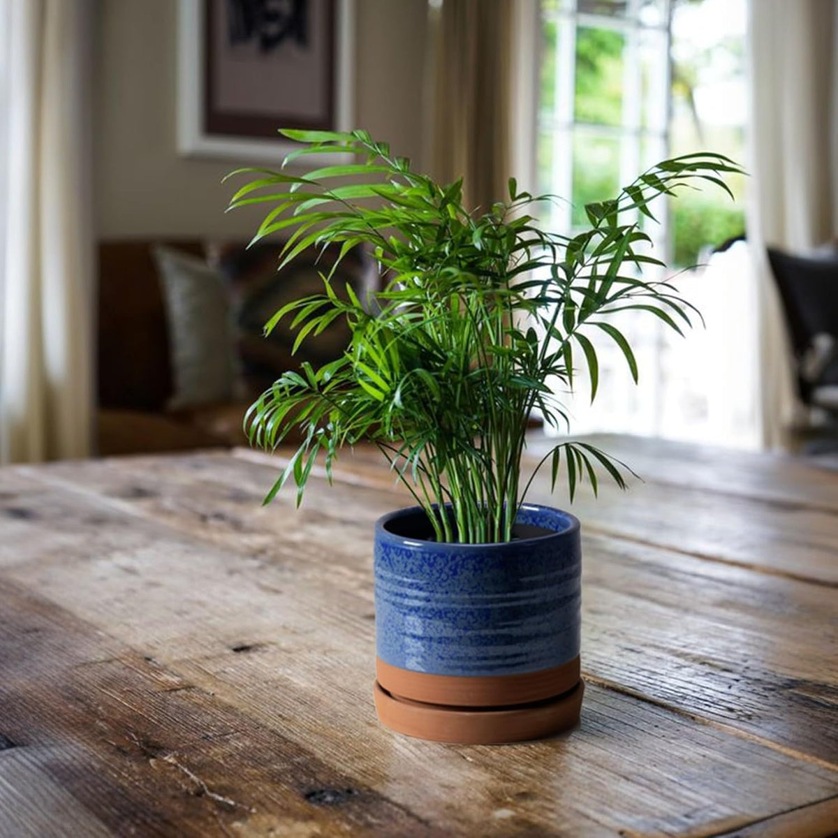 6 Inch Plant Pots, Ceramic Planter Pot with Drainage Hole & Saucer, Indoor/Outdoor Cylinder Round