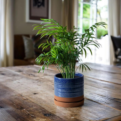 6 Inch Plant Pots, Ceramic Planter Pot with Drainage Hole & Saucer, Indoor/Outdoor Cylinder Round