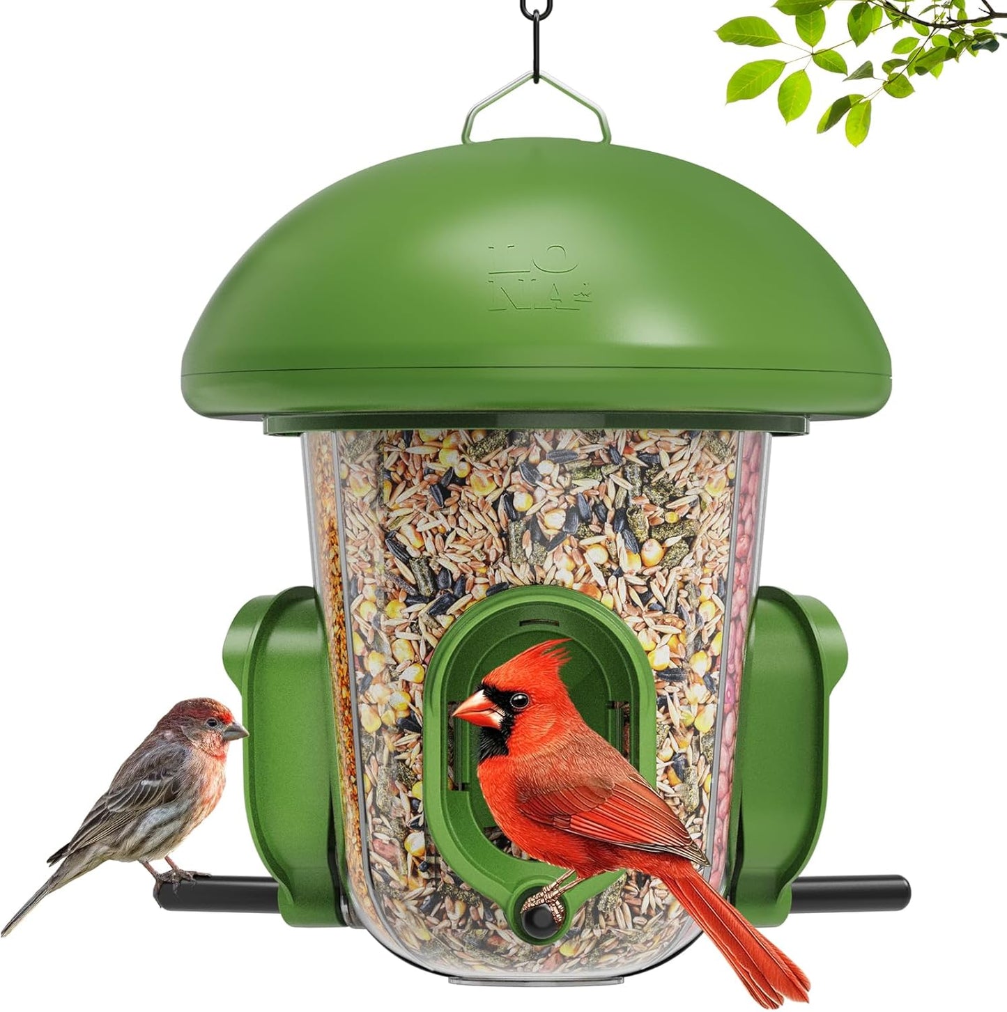 LONA Bird Feeders for Outdoors Hanging – 3 Separate Compartments, 3 Feeding Ports, Weatherproof